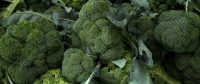 CIMA DI RAPA