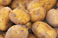 PATATA